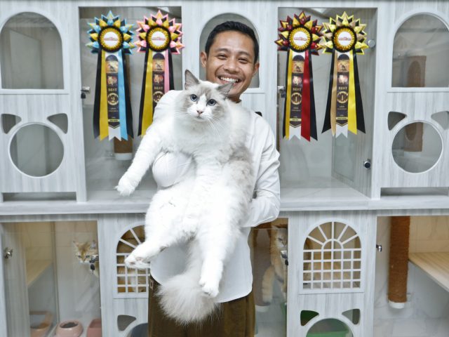 Evan Dimas dan Lima Kucing Mahal Peliharaannya