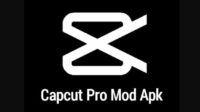 Aplikasi Capcut Pro Mod Apk